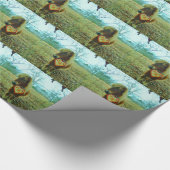 Papier Cadeau Miniature cheval Brown Valentine Heart (Coin)