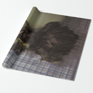 Papier Cadeau Minutes