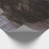 Papier Cadeau Minutes (Coin)
