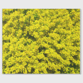 Papier Cadeau Modèle d'or jaune Woadwaxen d'arbustes (Plat)