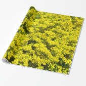 Papier Cadeau Modèle d'or jaune Woadwaxen d'arbustes (Déroulé)