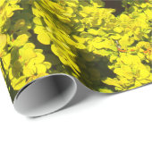 Papier Cadeau Modèle d'or jaune Woadwaxen d'arbustes (Coin rond)