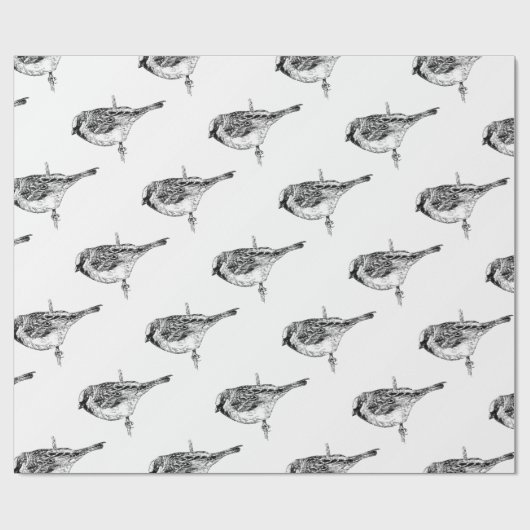 Papier Cadeau Moineau (Plat)