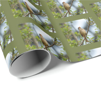 Papier Cadeau Moineau à couronne blanche - Photographie d'art or