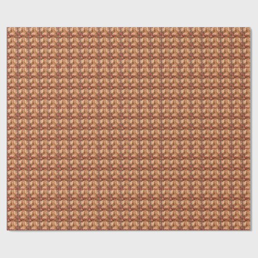 Papier Cadeau Moment Princesse (Plat)