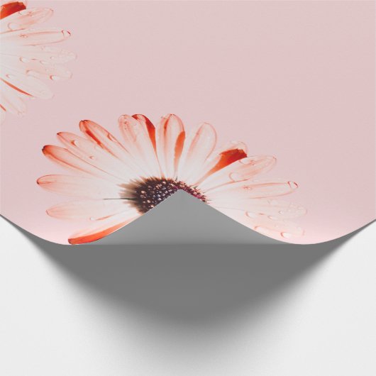 Papier Cadeau Montana Fleurs sauvages en rose (Coin)