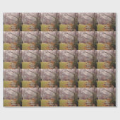 Papier Cadeau Morning Mist (Plat)