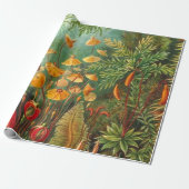 Papier Cadeau Moss - Ernst Haeckel (Déroulé)