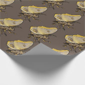 Papier Cadeau Moth (Coin)