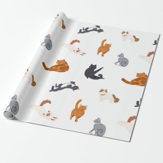Papier Cadeau Motif (Déroulé)