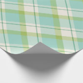 Papier Cadeau Motif à ressort bleu et vert pastel (Coin)