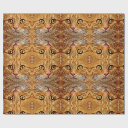 Papier Cadeau Motif de chat (Plat)