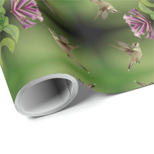 Papier Cadeau Motif de colibri (Coin rond)
