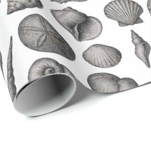 Papier Cadeau Motif de dessin vintage de coquillages de l'océan