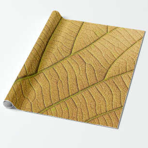 Papier Cadeau Motif de feuille jaune doré le matin.