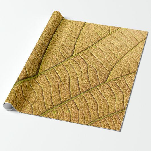 Papier Cadeau Motif de feuille jaune doré le matin.  (Déroulé)