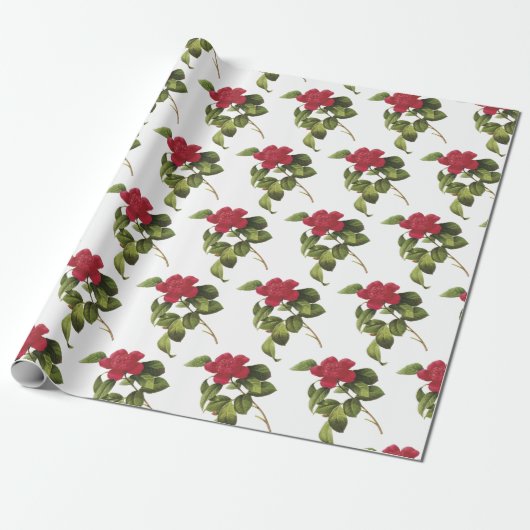 Papier Cadeau Motif de fleur de camélia (Déroulé)