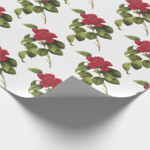 Papier Cadeau Motif de fleur de camélia (Coin)