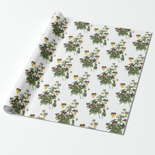 Papier Cadeau Motif de fleur de pensée (Déroulé)