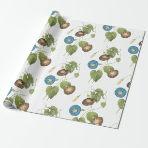 Papier Cadeau Motif de fleurs de la gloire du matin