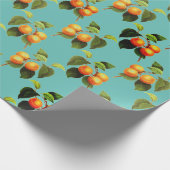 Papier Cadeau Motif de fruits de pêche (Coin)