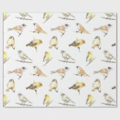 Papier Cadeau Motif de mésanges (Plat)