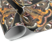 Papier Cadeau Motif de mite (Coin rond)