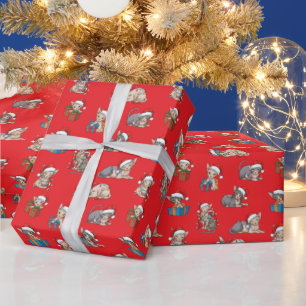 Papier Cadeau Motif de Noël pour chats Sphynx Cadeau Rouge Migno