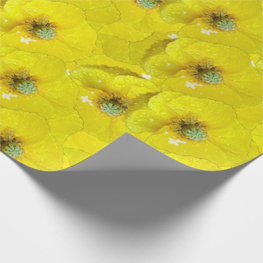 Papier Cadeau Motif de pavot à maïs jaune soleil (Coin)