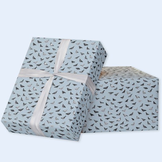 Papier Cadeau Motif de pigeon