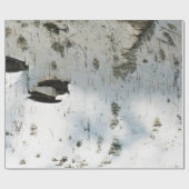 Papier Cadeau Motif d'écorce de bouleau (Plat)