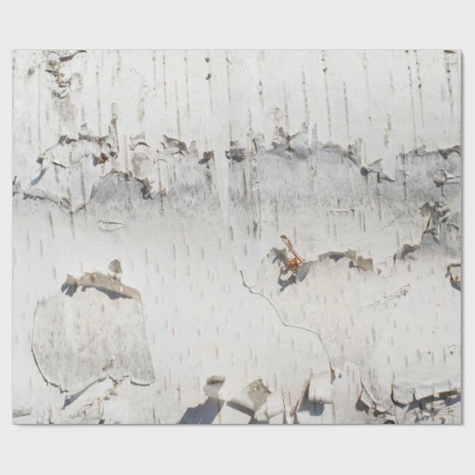 Papier Cadeau Motif d'écorce de bouleau (Plat)