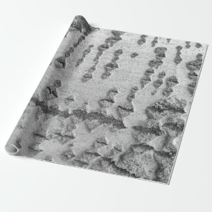 Papier Cadeau Motif d'écorce de bouleau