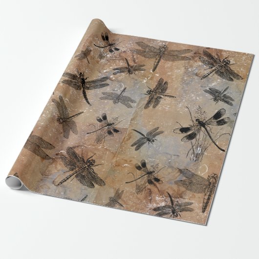 Papier Cadeau Motif d'Entomologie vintage (Déroulé)