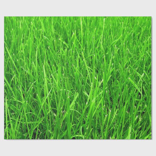 Papier Cadeau motif d'herbe, PAPIER d'ENVELOPPE, (Plat)