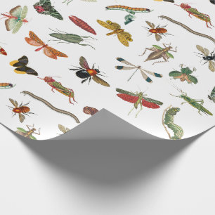 Papier Cadeau Motif d'illustration coloré d'insectes Vintages