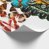 Papier Cadeau MOTIF EN LACE NOIRE AVEC BOUTTERFLIES BLANC Papier (Coin)