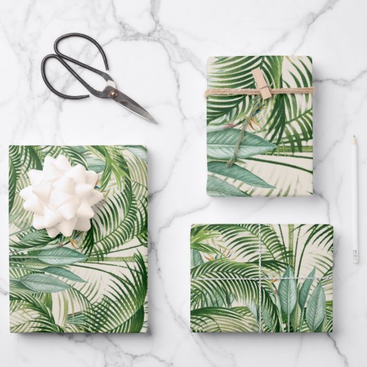 Papier Cadeau Motif Feuille de palme de feuillage tropical (Recto)