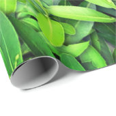 Papier Cadeau Motif Feuille verdoyant - Nature Botanique (Coin rond)