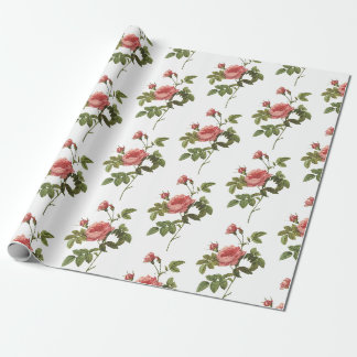 Papier Cadeau Motif Fleur de Rose
