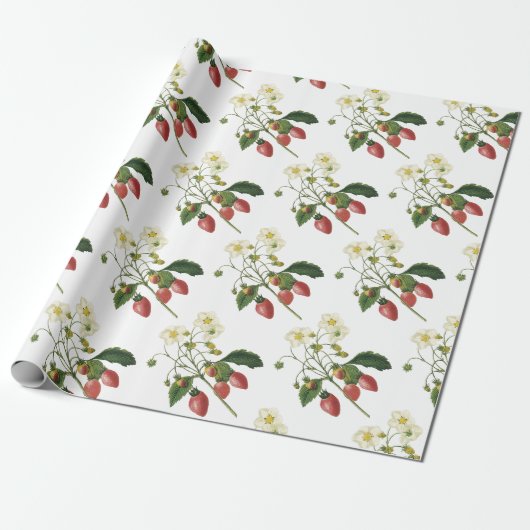 Papier Cadeau Motif fraise (Déroulé)