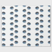 Papier Cadeau Motif oculaire de chat bleu (Plat)