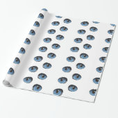 Papier Cadeau Motif oculaire de chat bleu (Déroulé)