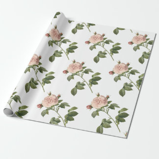 Papier Cadeau Motif rose