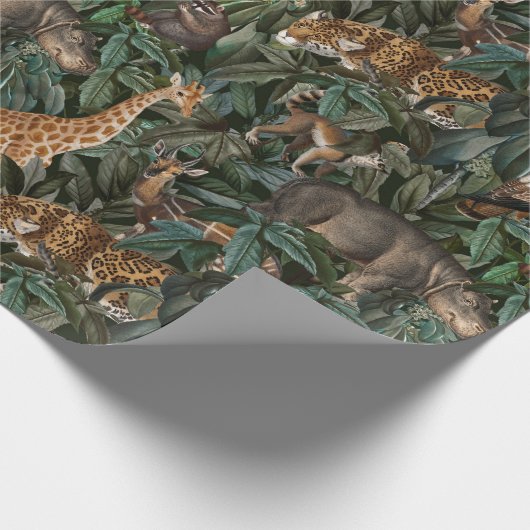 Papier Cadeau Motif Safari (Coin)