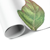 Papier Cadeau Motif sans couture avec des pommes rouges. vinique (Coin rond)