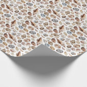 Papier Cadeau Motif Seashell (Coin)