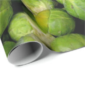 Papier Cadeau motif végétal vert de Bruxelles (Coin rond)