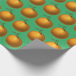 Papier Cadeau Motif vintage de fruits oranges botaniques sur ver