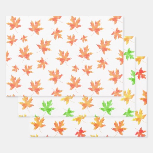 Papier Cadeau Motifs de feuille d'érable aquarelle (Lot)